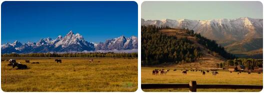 Wyoming 2014